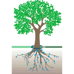 Baumbewäesserung-Set Plus 4-teilig^GEKA Sale