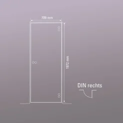 Glasdrehtür NOVA 501 70,9 x 197,2 cm Rechts^ Sale