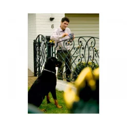 Hammerite Metallschutzlack silber glanz 750 ml