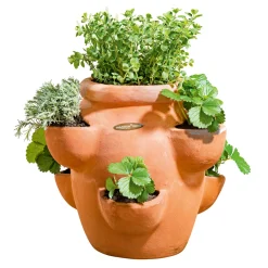 Erdbeer- und Kräutertopf Giardino^Haveson Online
