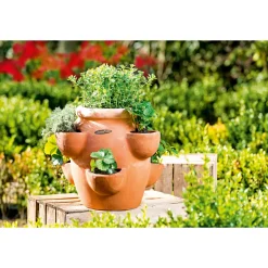 Erdbeer- und Kräutertopf Giardino^Haveson Online