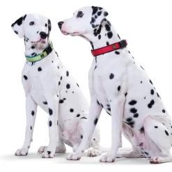 Halsung Neopren Vario Plus rot 30-35 cm*Hunter