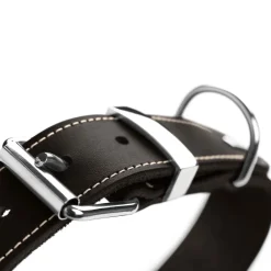 Halsband Aalborg Special schwarz Größe S*Hunter