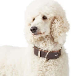 Halsband Aalborg Special dunkelbraun Größe M*Hunter