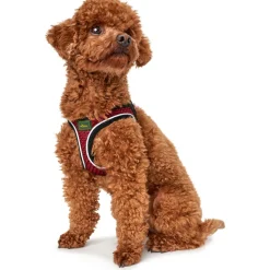 Hunter Hundegeschirr Hilo Comfort rot Größe XS