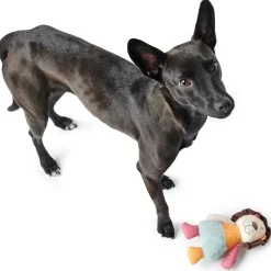 Hundespielzeug Muli Löwe mehrfarbig 18 cm*Hunter Online