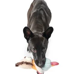 Hundespielzeug Muli Löwe mehrfarbig 18 cm*Hunter Online