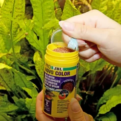 PRONOVO COLOR GRANO S 100ml CLICK*JBL Discount