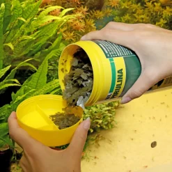 JBL PRONOVO SPIRULINA FLAKES M 1000ml