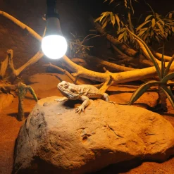 Reptil LED Daylight 13W^JBL New