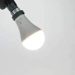 Reptil LED Daylight 13W^JBL New