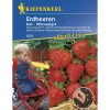 Erdbeeren Elan F1 Profi-Line^Kiepenkerl New