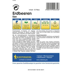 Erdbeeren Elan F1 Profi-Line^Kiepenkerl New