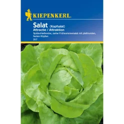 Kopfsalat Attractie*Kiepenkerl Discount