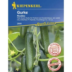 Mini-Snack-Salatgurke Picolino F1*Kiepenkerl
