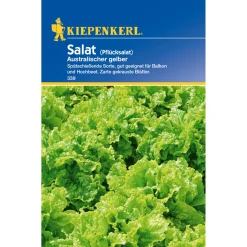Salat Australischer gelber*Kiepenkerl Outlet