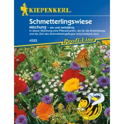 Schmetterlingswiese*Kiepenkerl Hot
