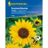 Sonnenblume Holiday^Kiepenkerl
