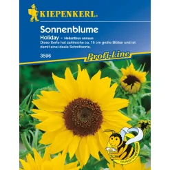 Sonnenblume Holiday^Kiepenkerl