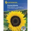 Kiepenkerl Sonnenblume Sunrich Lemon F1