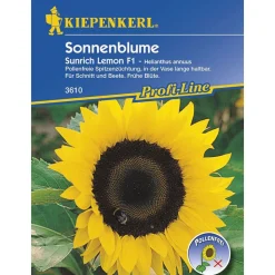 Kiepenkerl Sonnenblume Sunrich Lemon F1