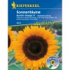 Sonnenblume Sunrich Orange^Kiepenkerl Best