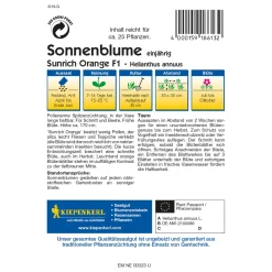 Sonnenblume Sunrich Orange^Kiepenkerl Best