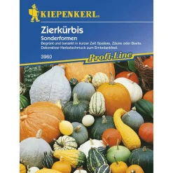 Zierkürbis Sonderformen Profi-Line*Kiepenkerl Outlet