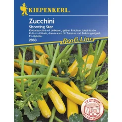 Zucchini Shooting Star*Kiepenkerl Outlet