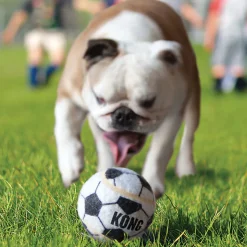 KONG Hundespielzeug Sport Balls farblich sortiert Durchmesser 4 cm 3 Stück* Discount