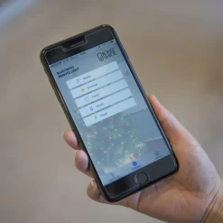 Konstsmide Micro LED-Baummantel mit Ring 48 Dioden Innen