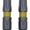 Krone Bit Torx 40 2 Stück