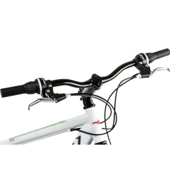 All-Terrain-Bike Heist Hardtail 51 cm weiß-grün*KS Cycling Outlet