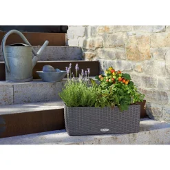 LECHUZA Blumenkasten Balconera Cottage 50 granit*