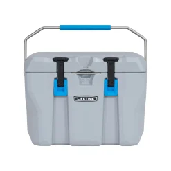 Lifetime Kühlbox Premium 26,5 L 37x59,1x41,4cm Grau