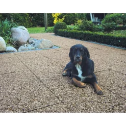 Lusit Waschbetonplatte 40 x 40 cm Rheinkies* Online