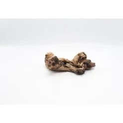 Mopani Wurzel klein^ New