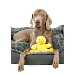 Pluesch Ente Daggi 18 cm^Nobby Clearance