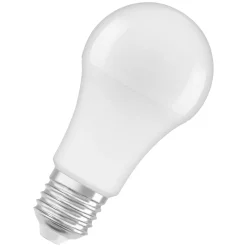 LED-Leuchtmittel E27 100W matt*Osram Sale