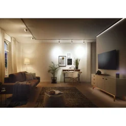 Dimm-Controller Cephei 400 Watt weiß/grau*Paulmann Outlet