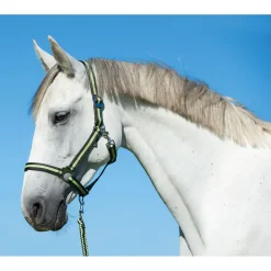 Pferdehalfter Hippo anthrazit-lemon Cob