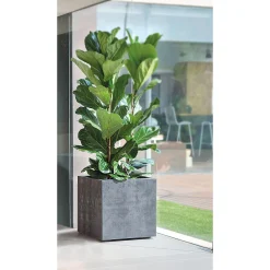 Pflanztopf Millennium anthrazit 39 x 39 x 39 cm* Sale