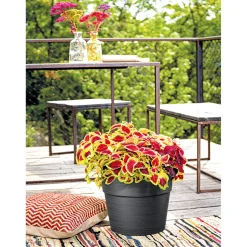 Pflanztopf Vaso Save R 29 cm anthrazit^ Online