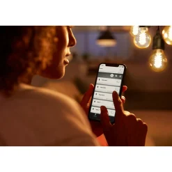 LED-Edison-Leuchtmittel White Filament E27 7W*Philips Hue