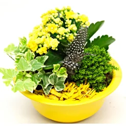 Bepflanzte Gefäße mit Oster-Deko^Plantiflor Outlet