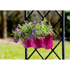 Glockenblume blau Topf 11 cm^Plantiflor Outlet