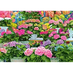Plantiflor Hortensie Magical Four Seasons Topf Durchmesser 23 cm