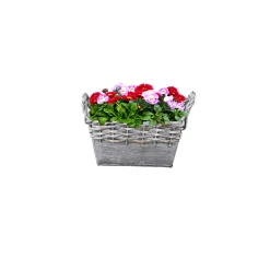 Zink-/Weidenkorb bepflanzt 19 x 12 cm*Plantiflor Clearance