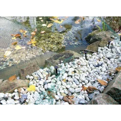 Plantiflor Laubschutznetz 6 x 5 m*Ubbink New