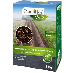 Vertikutiermix - Die Rasenerneuerung 2kg^Plantiflor Best